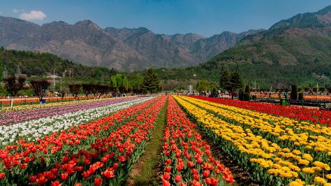 vaishno devi tours