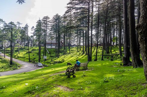 vaishnodevi-patnitop-tour.jpg